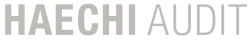 Haechi Audit